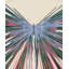 Butterfly Boom 3 Print by Todaro, Katie-857095210-857095211