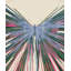Butterfly Boom 3 Print by Todaro, Katie-857095211-857095208