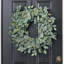 Couronne de porte d'entrée décorative en toutes saisons, composée de feuilles de fittonia verte et de graines d'eucalyptus - 66 cm (26 pouces)