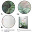 Impression sur toile, Ferns Romantic Impression VI-6036613