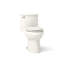 Adair 1.28 GPF Water Efficient Elongated One-Piece toilet (Seat Included)-10397008-65043899
