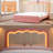 Daphne Upholstered LED Bed Frame With Drawer & Adjustable Headboard, Kids Beds-227418666-228661442