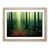 Oak Framed