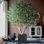 91'' Faux Olive Tree Tree in Freestanding