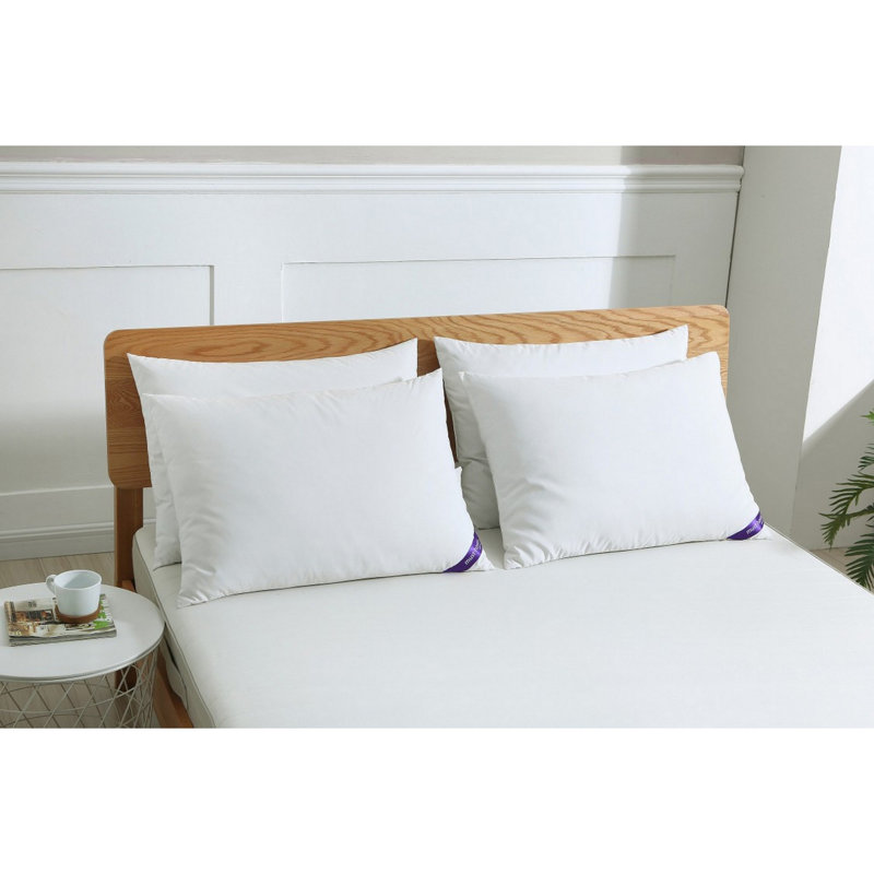 Coussin Astra, Grand