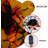 LED Net Lights