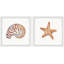 Starry Shell - 2 Piece Single Picture Frame Painting-61191215