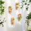 Dorrianne Wood Wall Planter