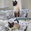 Couverture pour animaux-97748397-97748395