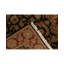 Wool Oriental Area Rug in Black/Red