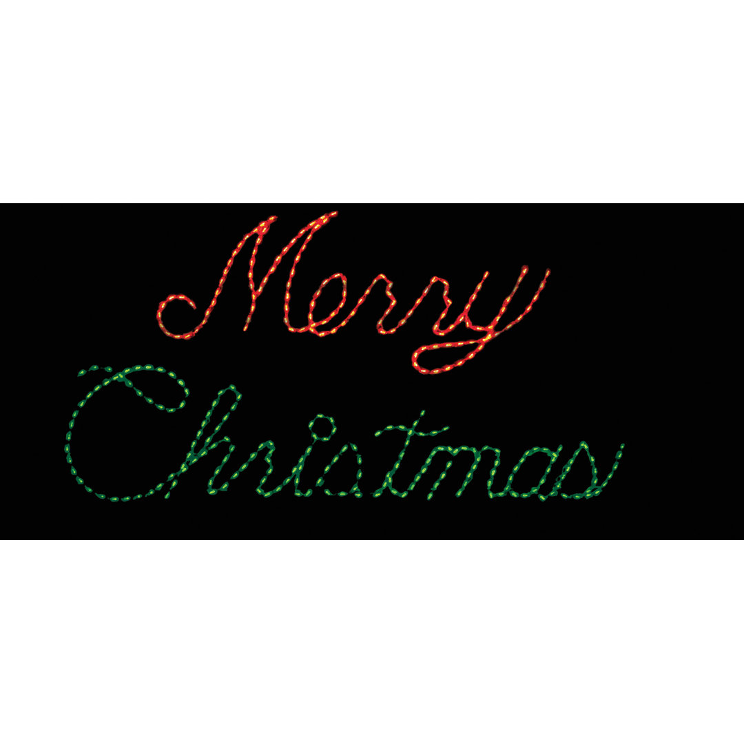 Merry Christmas LED Light The Holiday Aisle® 