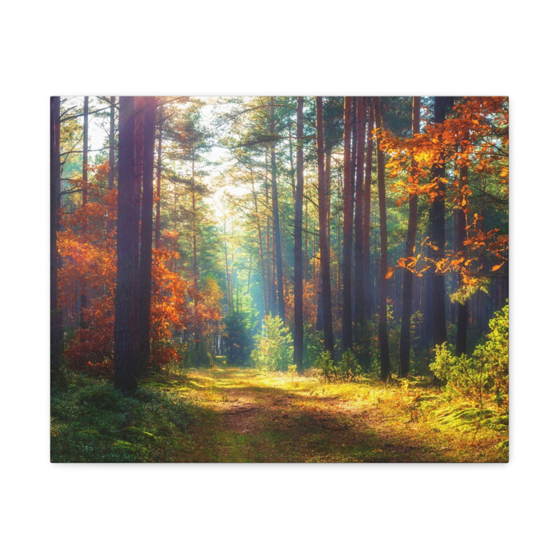 Automne, feuille d'automne, forêt, nature, photographie, art mural, H 12 po x l 18 po
