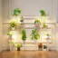 Support pour plantes d'intérieur en métal de 40,5 po de hauteur avec lampe de croissance (ensemble de 2)-236170677