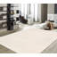 Geometric Area Rug in Ivory