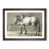 Walnut Framed selected