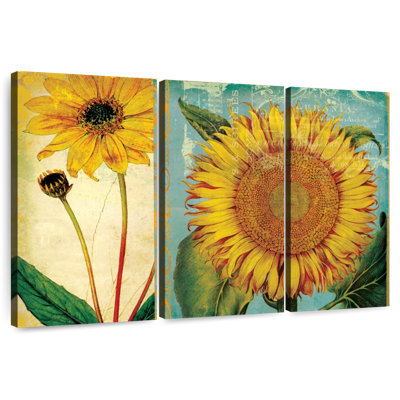 Harnek tournesol collage