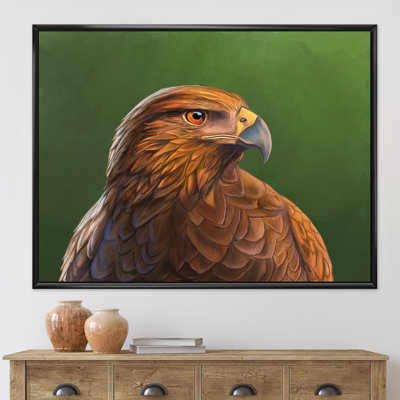 " Portrait Of Harris Hawk Bird "