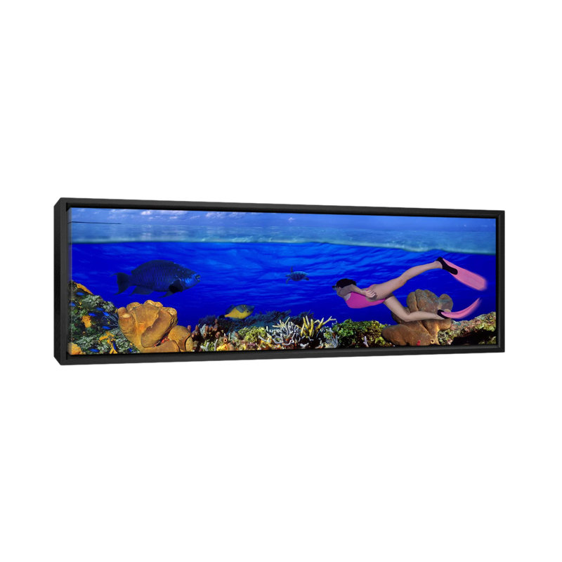 «Diver Long Reef Underwater», reproduction de photo sur toile, H 20 po x l 60 po x P 1,5 po, Toile avec cadre noir
