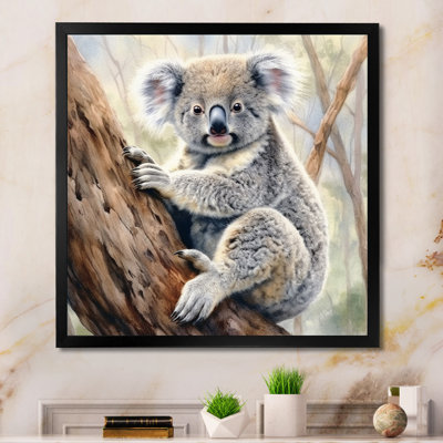 " Koala Serenity II "