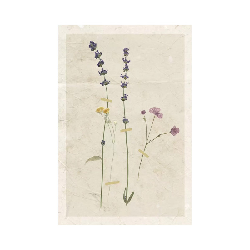 Pressed Lavender II by Carol Robinson - Wrapped Canvas Painting, 20.32 cm H x 30.48 cm W