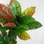 130cm Faux Plant in Pot Liner