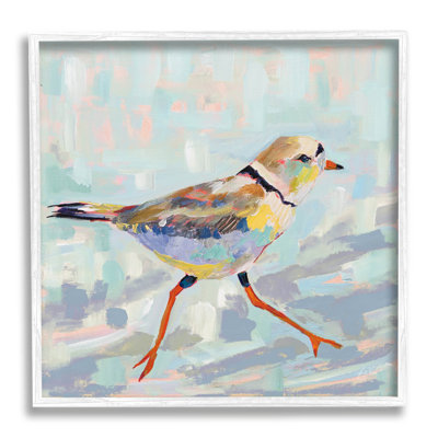 " Coastal Plover Abstract Bird " Watercolor Print