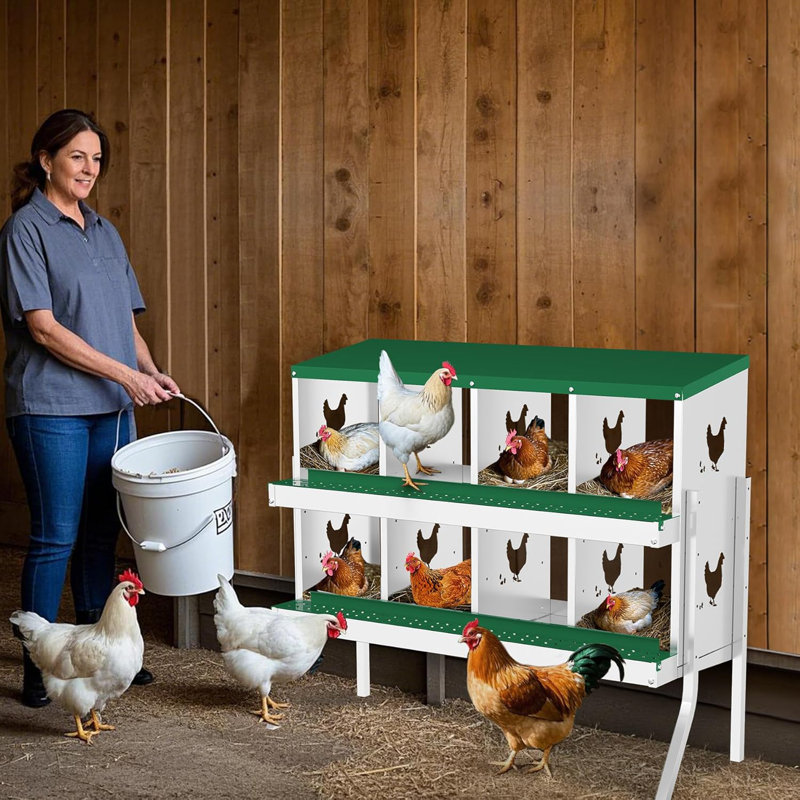 Chicken Egg Incubator For Up To, Green