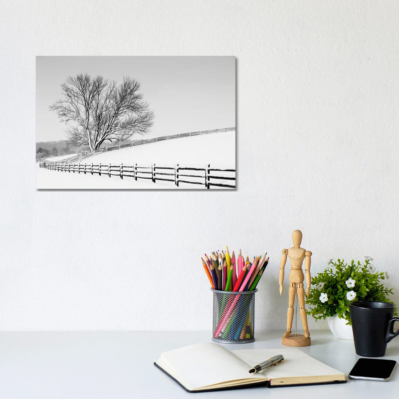 Along The Lane II by Aledanda - Wrapped Canvas Print, 20.32 cm H x 30.48 cm W