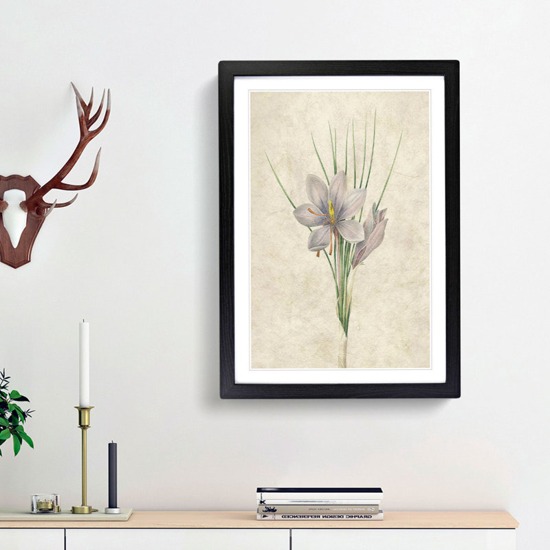 Autumn Crocus Flowers by Pierre-Joseph Redoute - Framed Print, 63cm H x 45cm W x 2cm D, Black  Bordered Framed