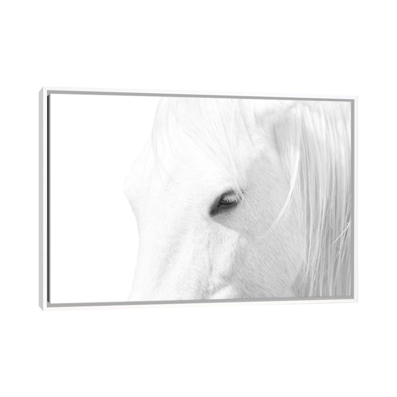 « Cheval blanc » par Marco Carmassi-impression d’art graphique, H 18 po x l 26 po x P 1,5 po, Toile blanche encadrée