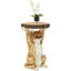 Side Table Animal Ms Cat 33cm