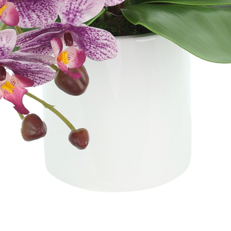 Modern Orchid Arrangement in Round Fiberstone Pot, Purple