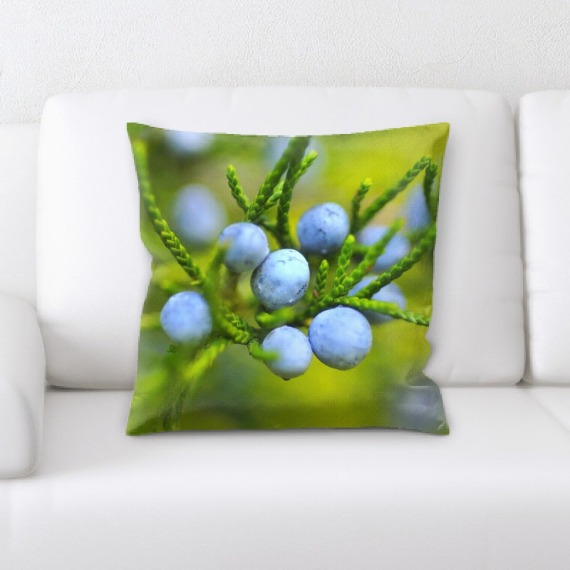 Coussin de baies