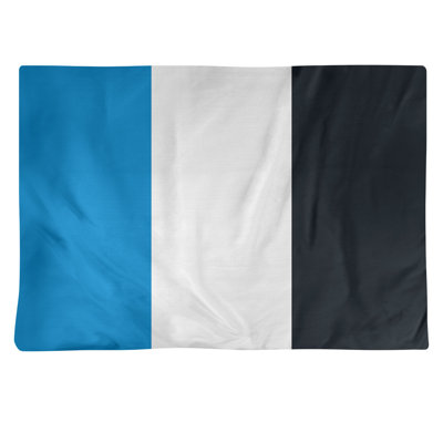 Récapitulatif 18" à rayures de football Carolina