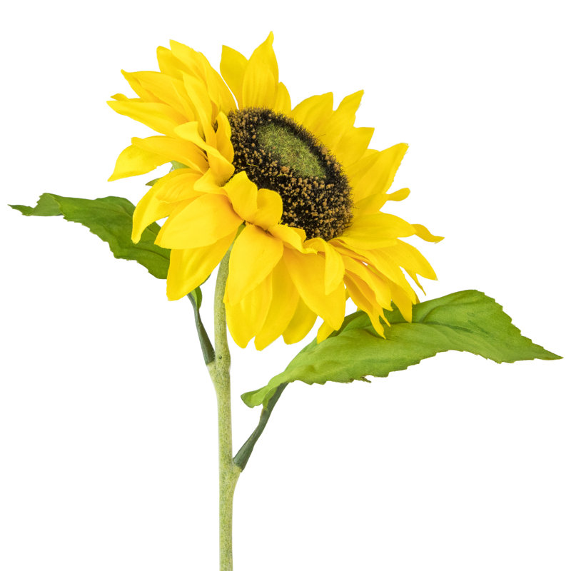 Jet de tournesol artificiel