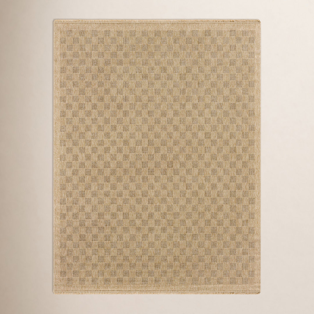 Abbie Checkered Machine Woven Polypropylene Indoor / Outdoor Area Rug in Tan/Dark Brown Birch Lane™ Rug 