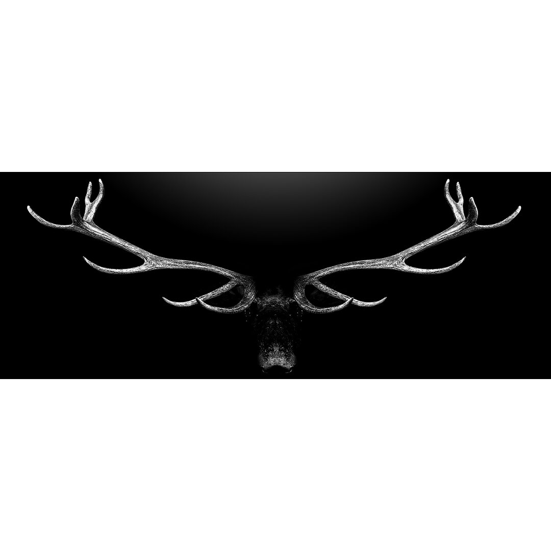 Glasbild Deer Antler