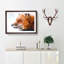 Profile of a Red Fox - Picture Frame Painting Print-56758554-56758551