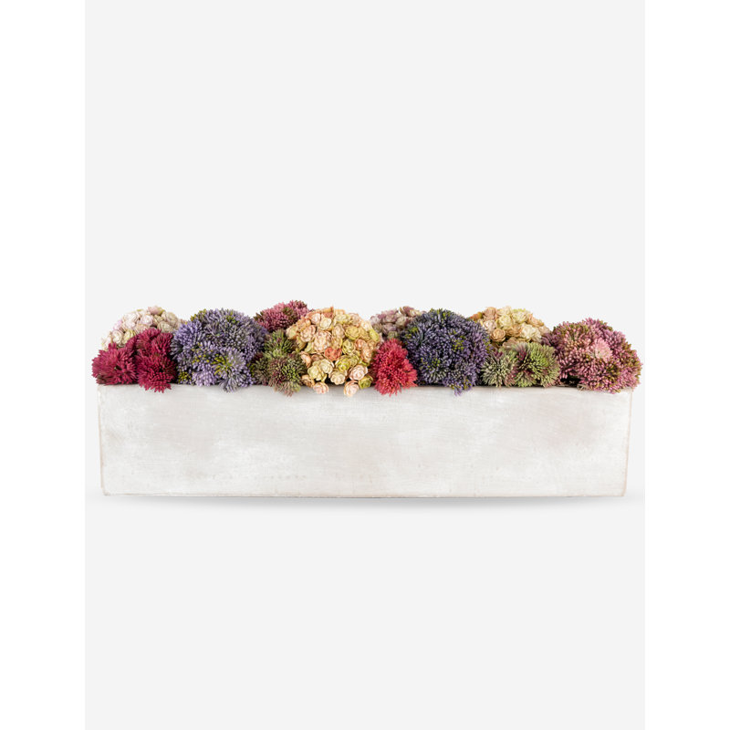 Arden Oblong Sedum Arrangement