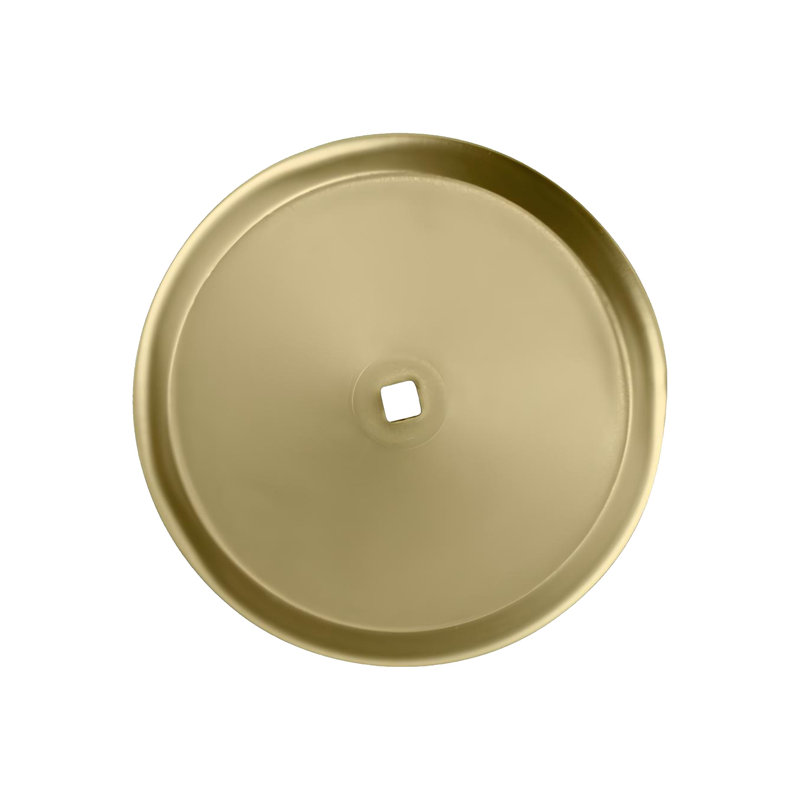 Metal Closet Backplate Polished Brass Finish