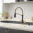 FLG Pull Down Touchless Kitchen Faucet