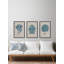 Sea Coral Study II Triptych - ensemble de 3 reproductions d'art sur papier encadré-30555581