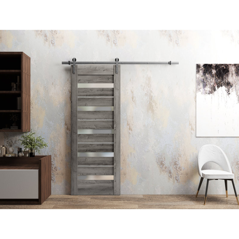 Porte de grange robuste en verre dépoli Quadro 4445 Gris Nebraska, rail de 2 m (6,6 pi), quincaillerie lourde, portes intérieures à panneaux pleins - 91,4 cm x 243,8 cm (36 po x 96 po) - Rail argenté