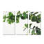 Chlorophy II par Norman Wyatt Jr. - Ensemble de 3 reproductions sur toiles tendues-28140938