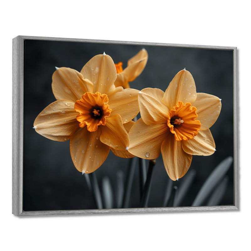 Monochrome Yellow Grey Luminous Luxury Daffodils - Daffodils Wall Art, 12" H x 20" W, Silver Floater Framed