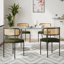 Ambri Rattan Back Fabric Upholstered Side Chair-777129695-793124534