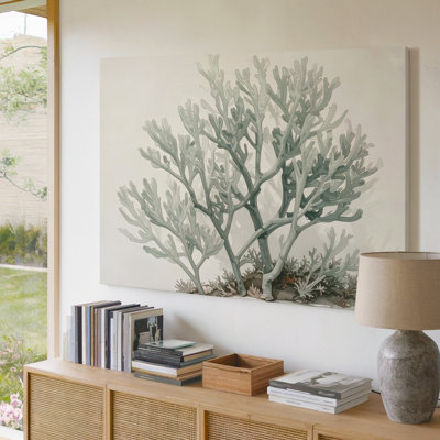 Seafoam Green Coral Canvasminimalist Botanical Marine Illustration Canvas Wall Art Ready To Hang Gallery Wrapped Home Decor Modern Design