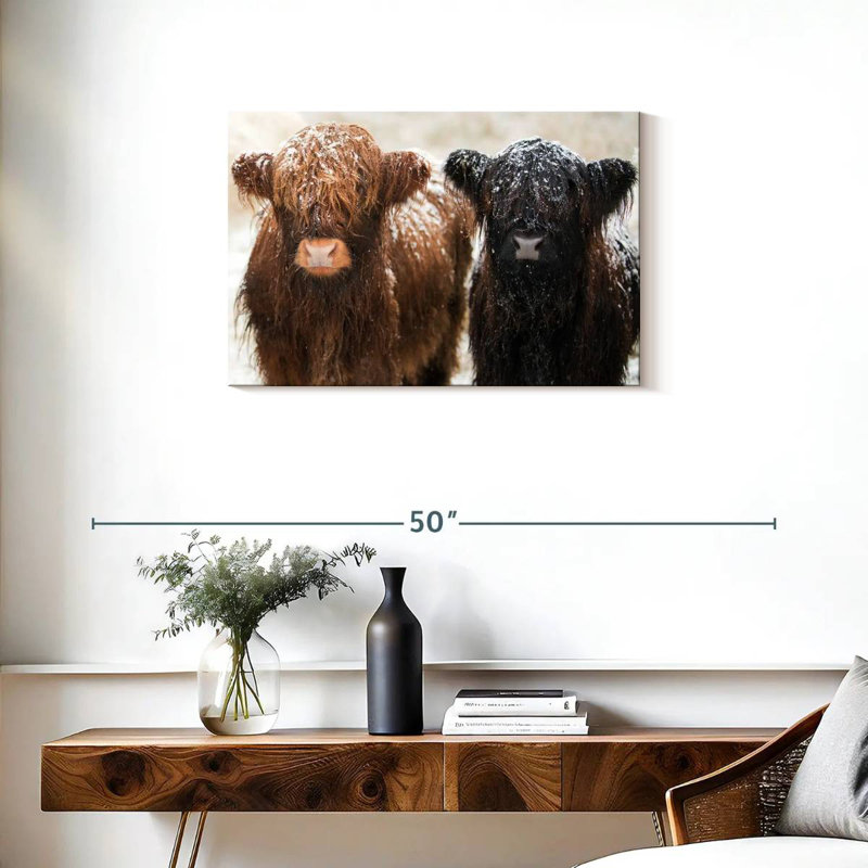 Brampt Hairy Highland Cows, 20" H x 30" W