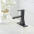 Single-Hole Single-handle Bathroom Faucet with Drain Assembly-64601001