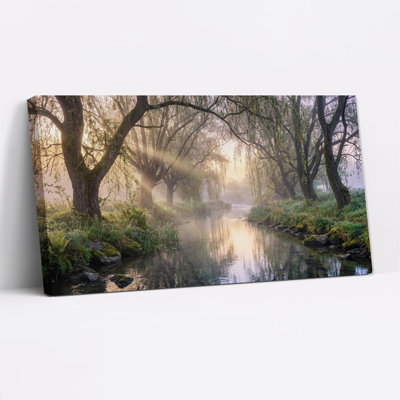 Golden Light Over Misty River With Willow Trees Canvas Wall Art